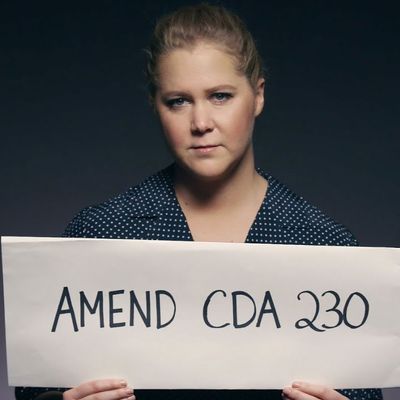 Amy Schumer is one of many celebrities who given PSAs in support of SESTA.