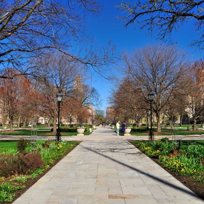 University of Chicago Bans Trigger Warnings, Safe Spaces