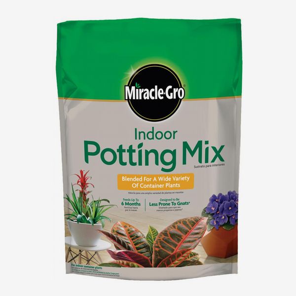 Miracle-Gro Indoor Potting Mix 6 Quart (2 Pack)