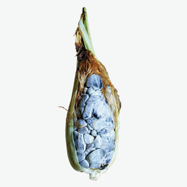 Huitlacoche