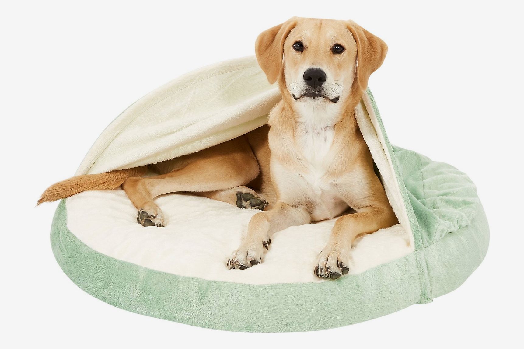 Chewy Cyber Week Deals 2019  The Strategist