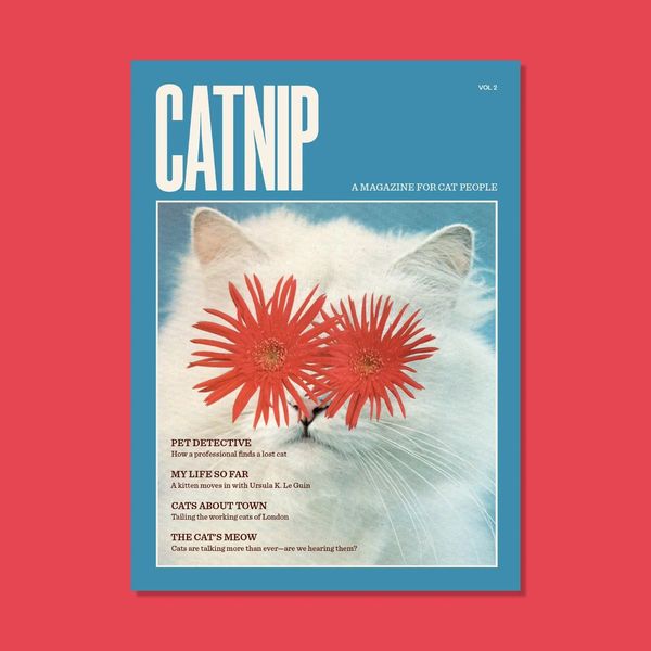 Catnip Magazine: Vol 2