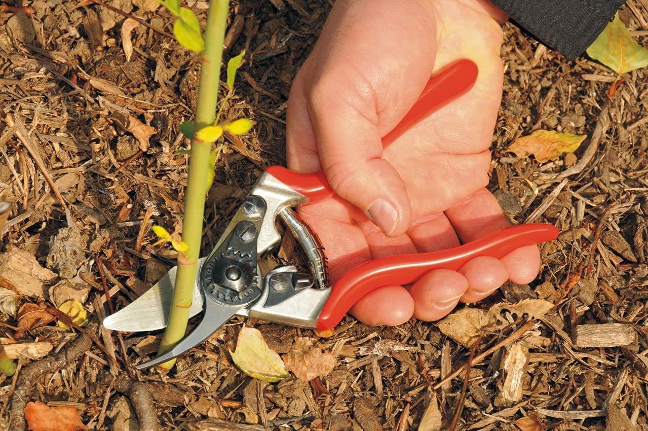 Stainless Steel Pruning Tools and Hedge Shears Length : 200mm Gullor Pruning Shears 