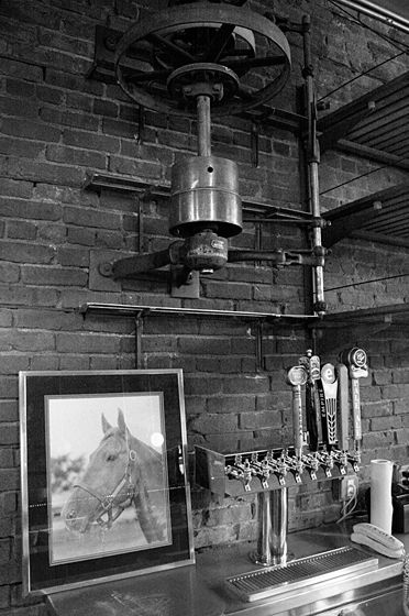 生啤产自纽约州。