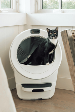 Whisker Litter-Robot 5