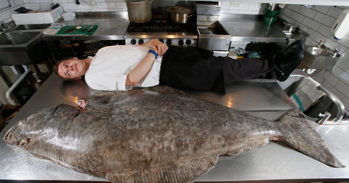 Here’s the Biggest Halibut Pretty Much Anyone Has Ever Seen