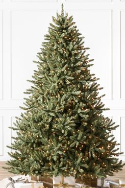 Balsam Hill Classic Blue Spruce - Clear Incandescent Lights, 6.5 Feet
