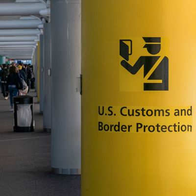 The Fight For Survival: Green Card Holder'S Deportation After 23 Years - lz3no80
