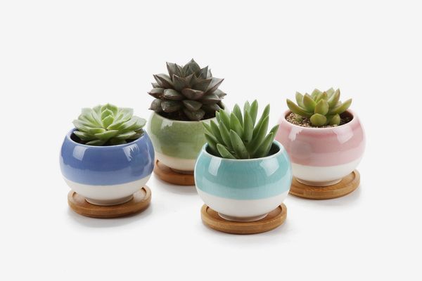 26 Best Pots And Planters On Amazon 2019 The Strategist New York Magazine