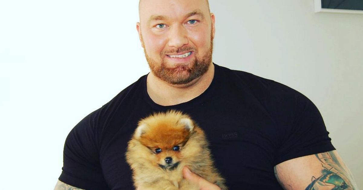 Giant Game of Thrones Actor Acquires Tiny Dog