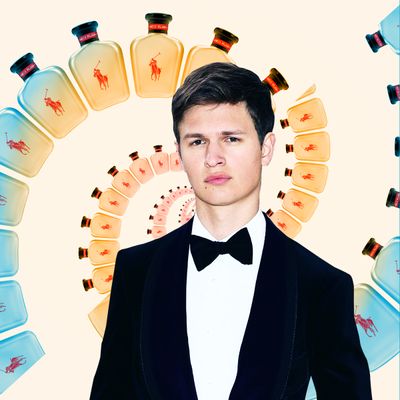 Ansel discount elgort cologne