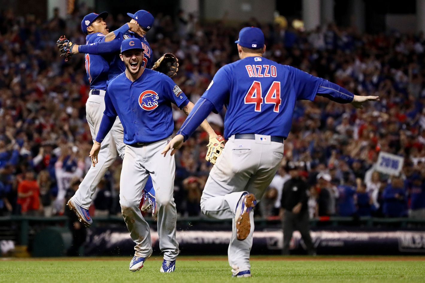 2016 Cubs  Chicago cubs world series, Cubs world series, Cubs team