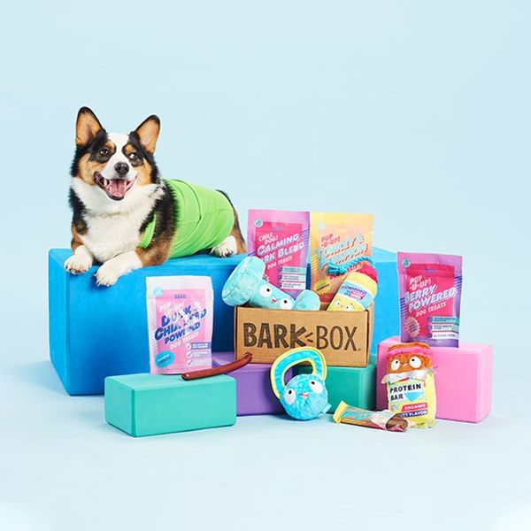 Monthly dog toy box best sale