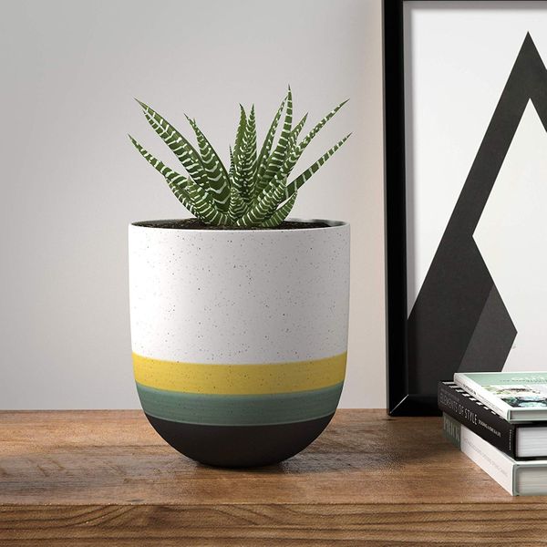 The Best Pots And Planters On Amazon 2020 The Strategist New York Magazine