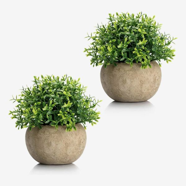 60 Best Artificial Plants | The Strategist