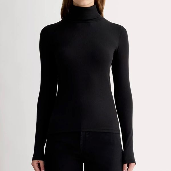 Everlane The Luxe Rib Turtleneck