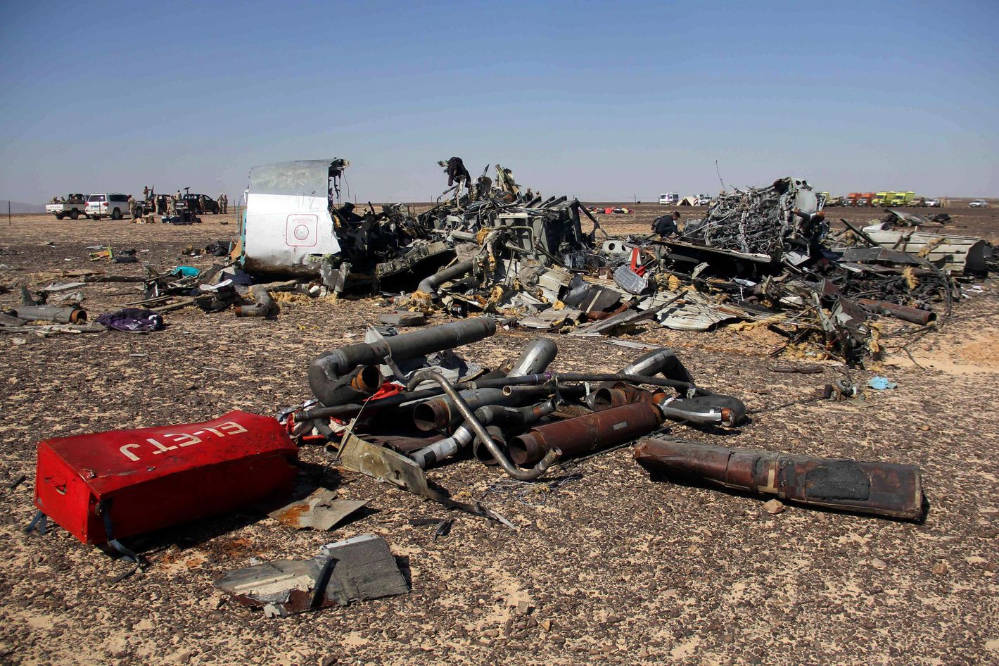 фото погибших при крушении самолета в египте