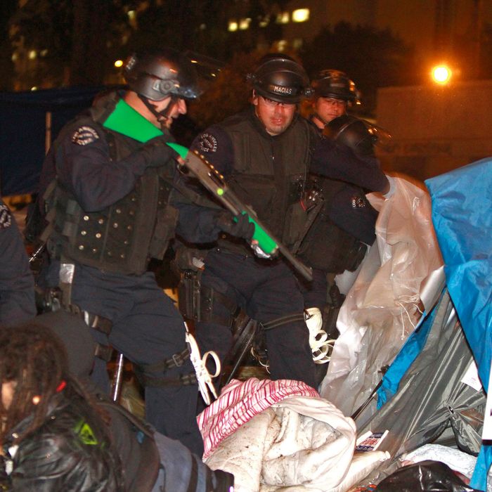LOS ANGELES, CA - NOVEMBER 30: Members of Occupy Los Angeles protesters are arrested by armed Los Angeles Police Department officers after LAPD raided their protest campsite on November 30, 2011 in Los Angeles, California.Protesters remain on the City Hall lawn despite a deadline, set by Los Angeles Mayor Antonio Villaraigosa, to dismantle their campsite and leave the park which the city declared will be closed as of 12:01 am November 28th. (Photo by Mark Boster-Pool/Getty Images)