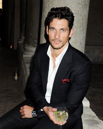 David Gandy. (Not pictured: the goose.)