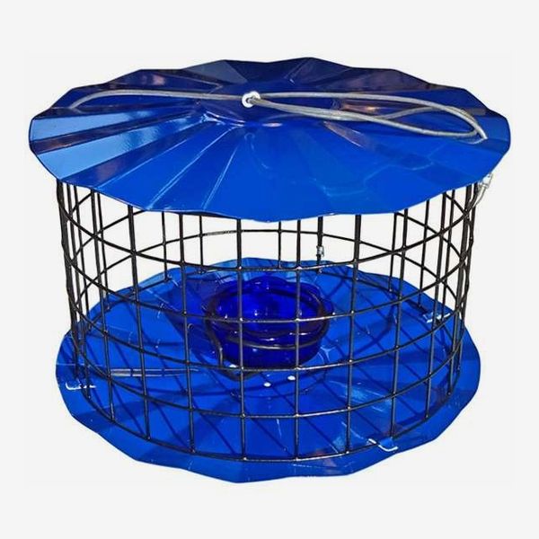 Nature Niche Barrier Guard Specialty Bluebird Feeder - Blue