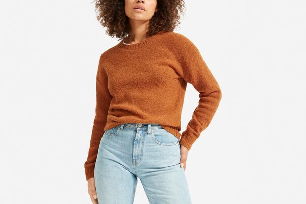 Everlane Teddy Crew Neck Sweater