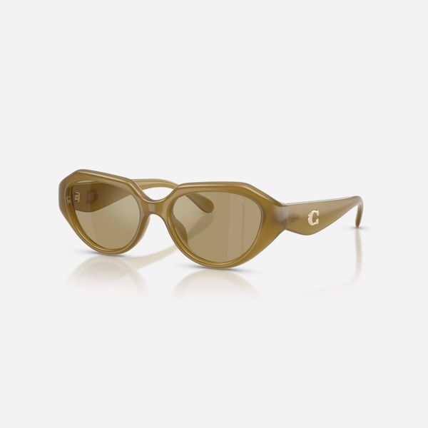 Coach C Hardware Geometric Sunglasses