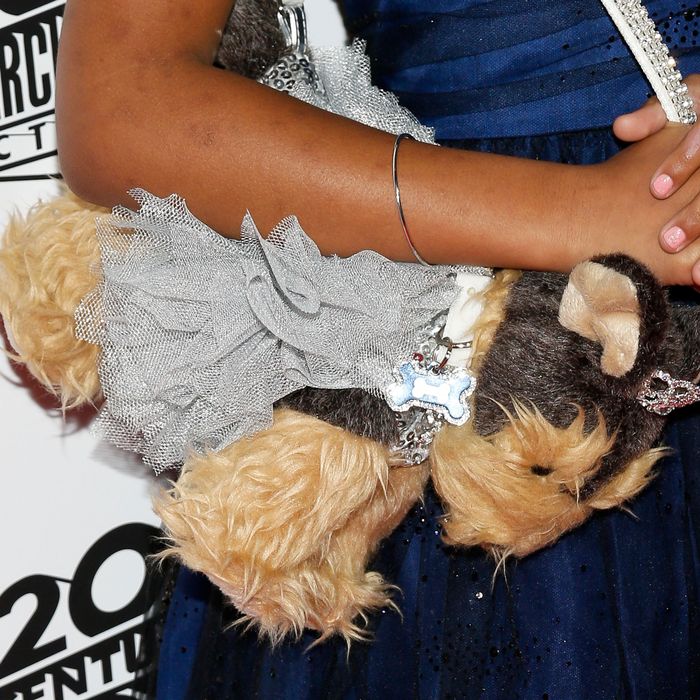 Wallis's dog purse.