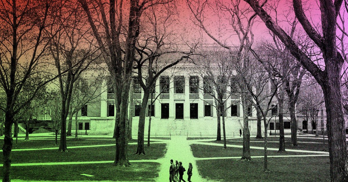 Scott Galloway on Whether College Is Still Worth It - Vimarsana News