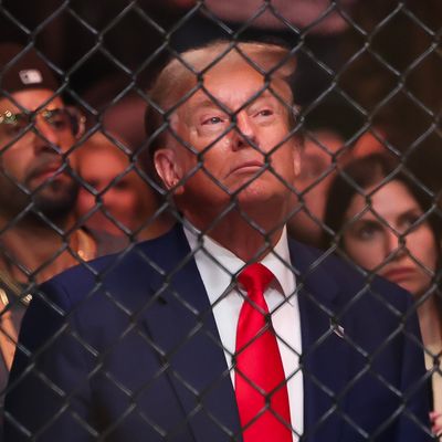 Donald Trump outside a cage match.