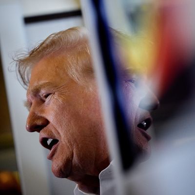 President Donald Trump