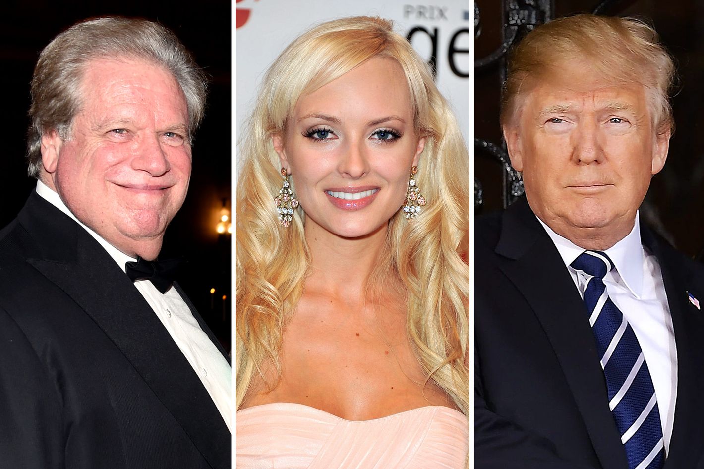1420px x 946px - Theory: Playboy Model Had Affair With Trump, Not Broidy