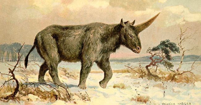 The Good News Is Unicorns Were Real. The Bad News Is They Were Hideous.