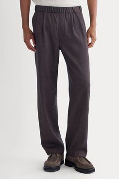 Everlane Pleated Trouser in Tailor Twill
