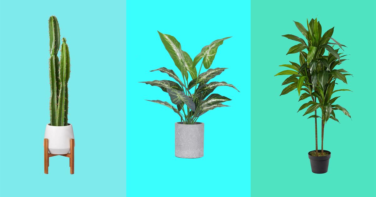 33 Best Artificial Plants 2021 The Strategist