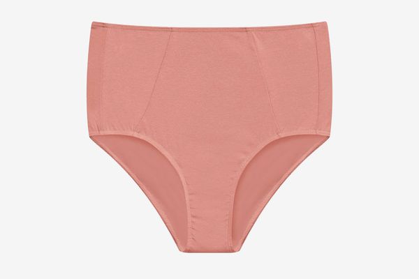 Victoria's Secret TWO Victoria Secret Panties Pink Cheeky Size Small NWT