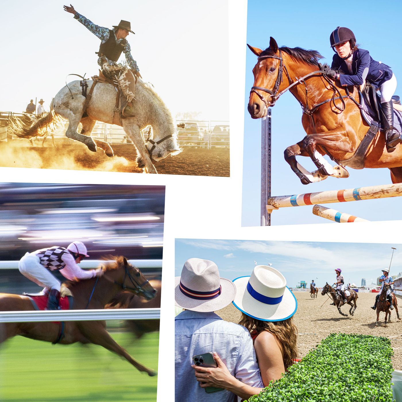 Horse Sports, Explained: Riding, Polo, Cutting, & More