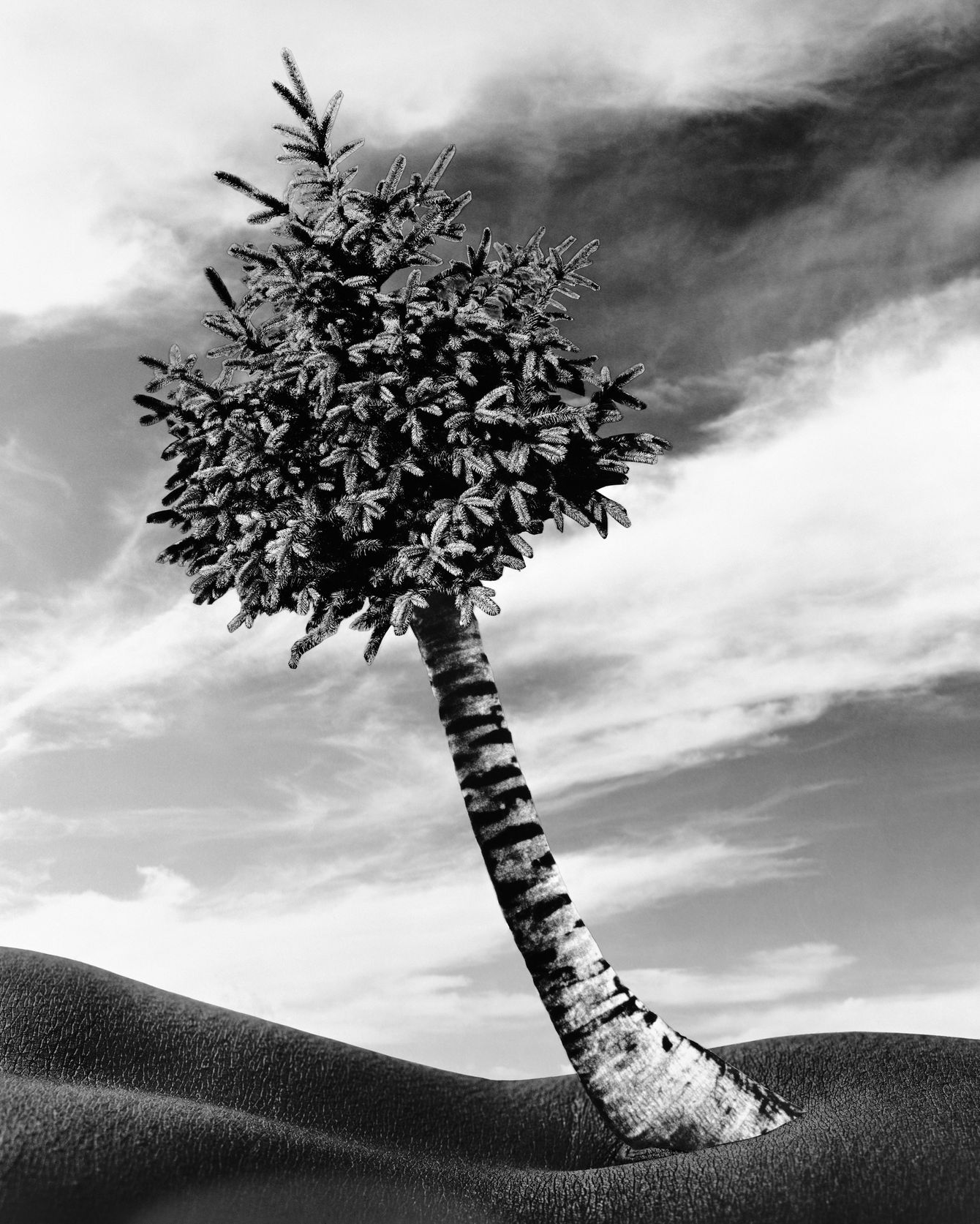 Artist Lorraine O’Grady Finally Has the World’s Attention