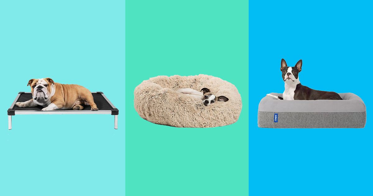 8 Very Best Dog Beds 2022 The Strategist, Double Bed With Dog Attached