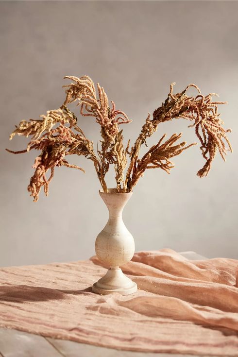 Terrain Dried Amaranth Bunch