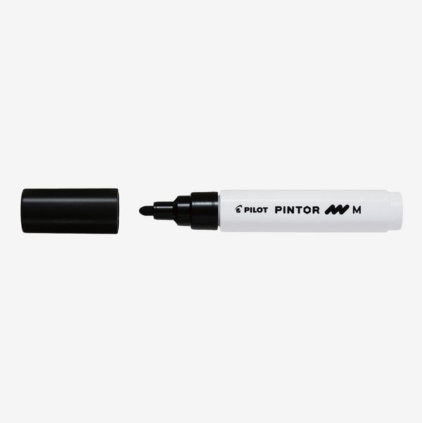 Pilot Pintor Marker Bullet Tip Pen
