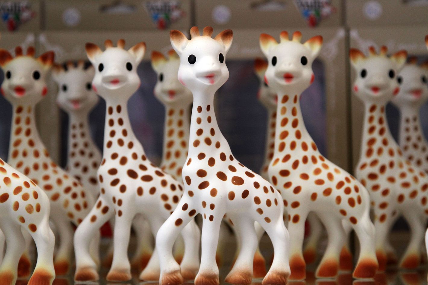 Parents Discover Black Mold in Sophie the Giraffe Toy