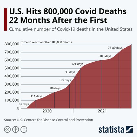 5 Ways to Understand the U.S. Climb to 800,000 COVID Deaths