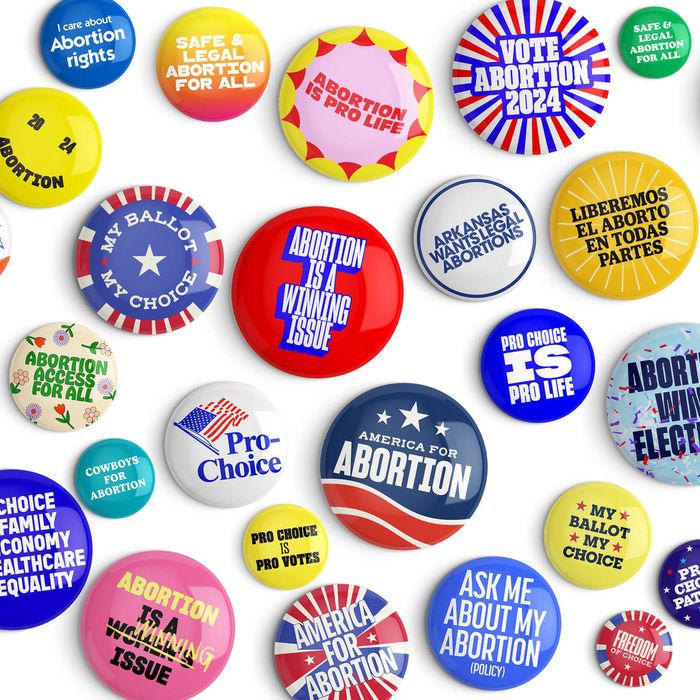 Abortion Politics and the Democratic Party’s 2024 Agenda
