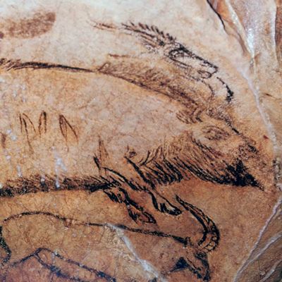 Paleolithic cave-painting of a bison and ibex in the 'Salon Noir' of the 'Grotte de Niaux'. (Photo by CM Dixon/Print Collector/Getty Images)