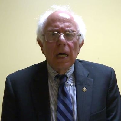 Bernie Sanders