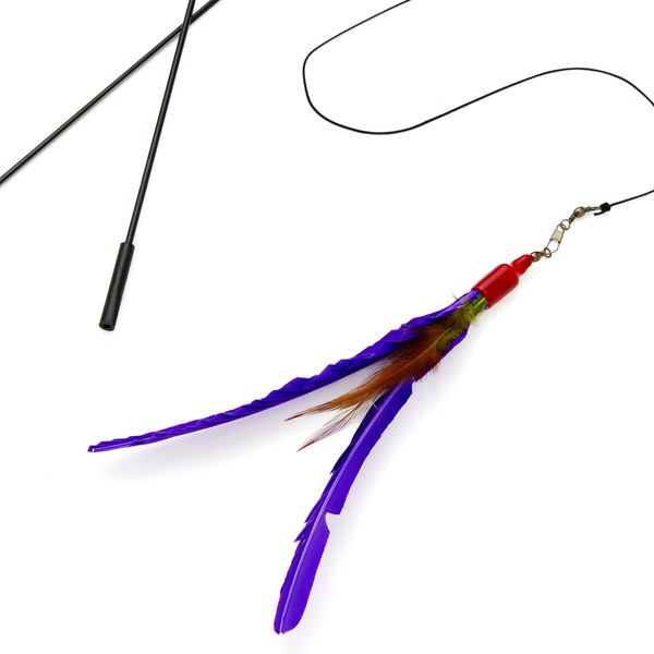 Go Cat Da Bird Feather Teaser