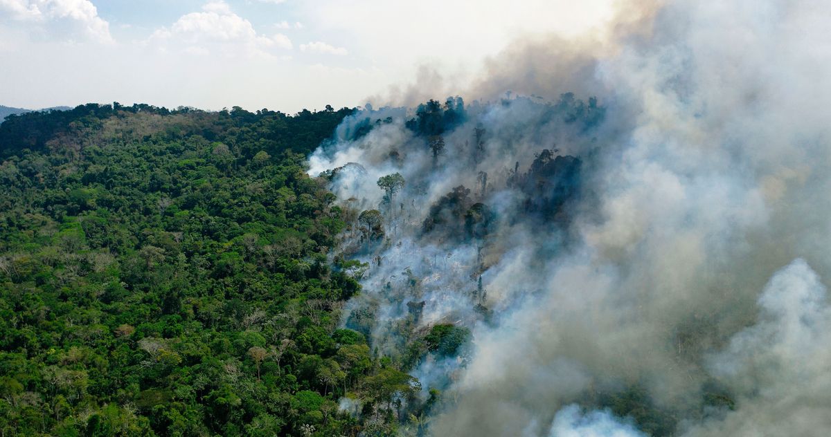 The Amazon May Now Actually Be Making Climate Change Worse