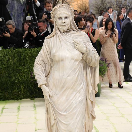 The 2026 Met Gala Celebrating 