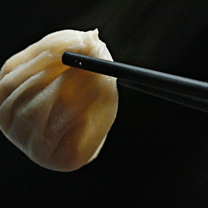 The Absolute Best Dumplings In Nyc