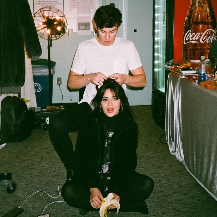 Shawn Mendes And Camila Cabello Relationship Timeline